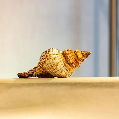 Laina In Pothia,